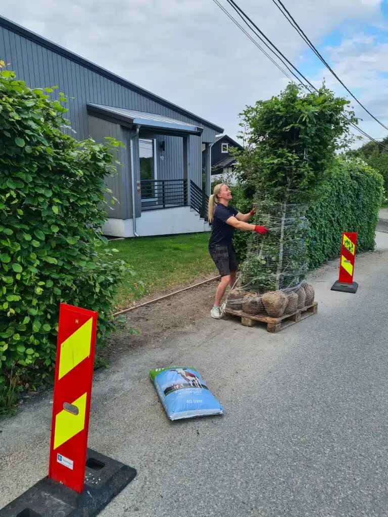 454570765_1000049231919492_2782484753548961029_n