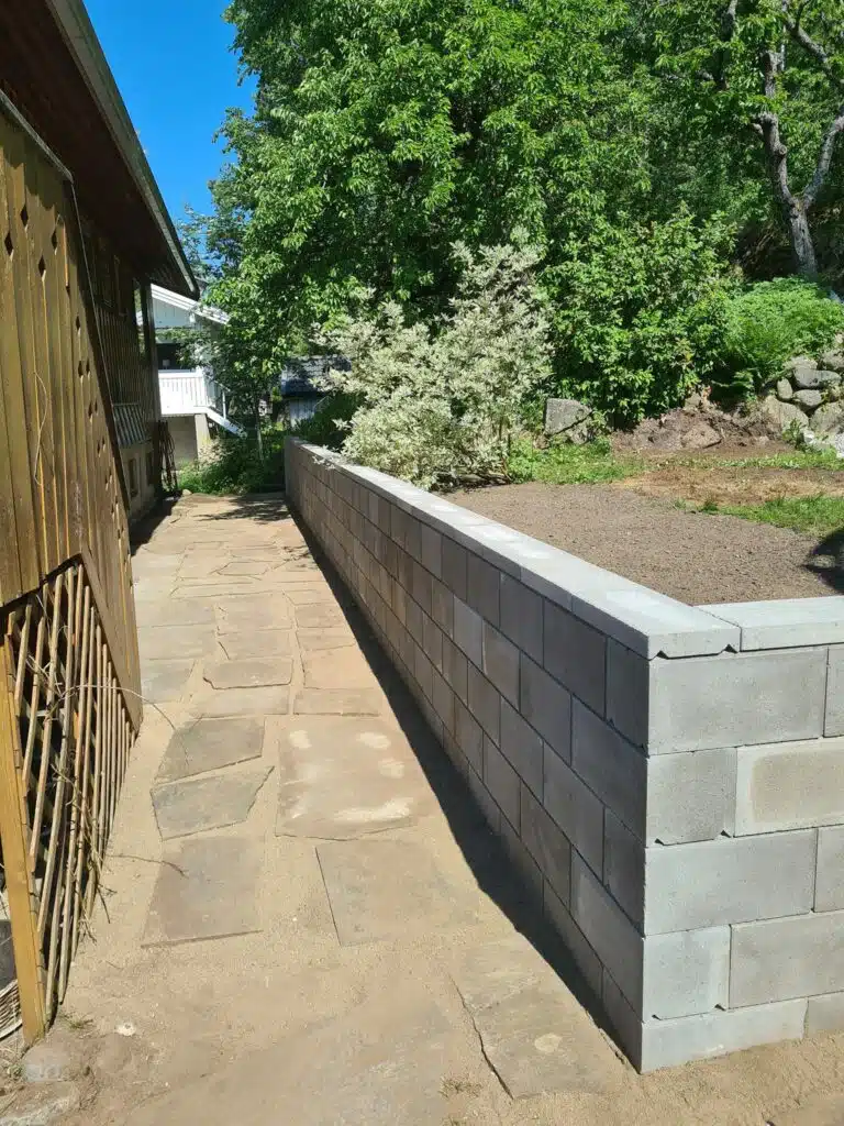 454687626_1000049258586156_8578627573864640475_n